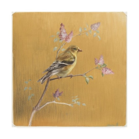 Danhui Nai 'Female Goldfinch On Gold' Canvas Art,35x35